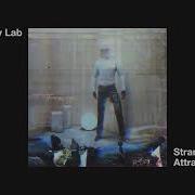 Ivy Lab Strange Attractor