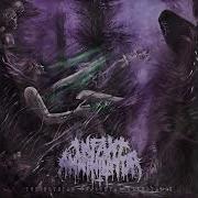 Infant Annihilator Blasphemian Instrumental