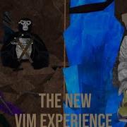 I Dug Out The Entire New VIM Experience