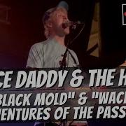 Prince Daddy The Hyena Black Mold And Wacky Misadventures Of The Passenger LIVE