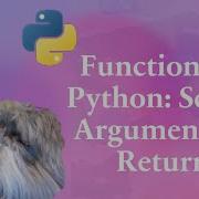 Functions In Python Scope Arguments Return