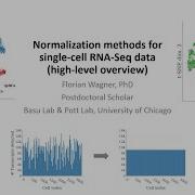 Normalization Methods For Single Cell RNA Seq Data High Level Overview