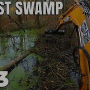 Deep FOREST SWAMP Clearing A Beaver Dam Huge Log Cabin View No 253