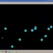 Construct 2 L Particals