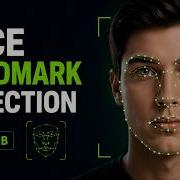 Real Time Face Landmark Detection Using Dlib OpenCV