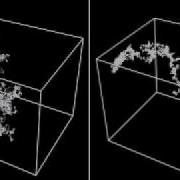 Brownian Motion In Biology Random Walk
