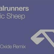 Signalrunners Electric Sheep Nitrous Oxide Remix 2008