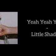 Yeah Yeah Yeahs Little Shadow Lyrics