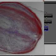 Visualisation 1