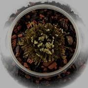 Rose Of Jericho The Resurrection Plant Time Lapse