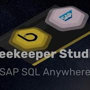 SQL Anywhere Walkthrough For Beekeeper Studio