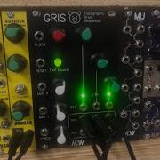 GRIS A DIY Throughhole Mutable Instruments Grids Module