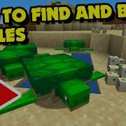 How To FIND BREED Turtles In Minecraft Java Bedrock Minecraft Tutorial