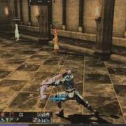 Lineage 2 Animation Bug DE