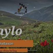 Xamid Dadaxon LAYLO Jonli Ijro Хамид Дадахон Лайло