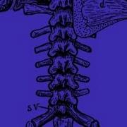Getting Started With Backbone Introduction