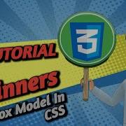 CSS Box Model Explained Margin Padding Border Height Width Shorthand