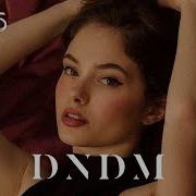 DNDM We Fly 2025 Retro