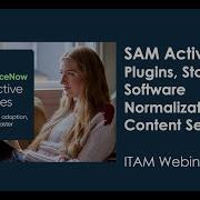 SAM Activation Plugins Store Apps Software Normalization Content Service
