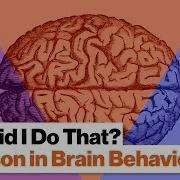 3 Brain Systems That Control Your Behavior Reptilian Limbic Neo Cortex Robert Sapolsky
