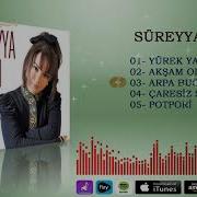 Süreyya Şahin Arpa Buğday Daneler