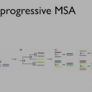 Multiple Sequence Alignments Introduction
