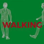 Green Screen Professional Business Man Walking Wireframe