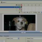 Flash Action Script 2 0