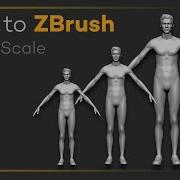 Intro To ZBrush 031 ZBrush Scene Scale How To Import Properly To Maintain Scale