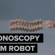 Worm Robot