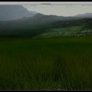 Unity 3 5 Terrain Test