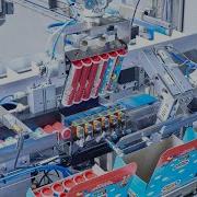 Fully Automated Packaging Line Loading Tubes Into Cartons