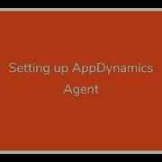 Setting Up AppDynamics Agent