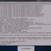 Знакомство с Open VSwitch