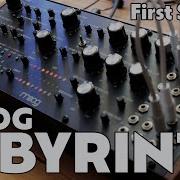 Exploring The Moog Labyrinth Overview User Experience First Sounds