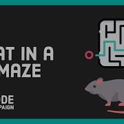 Rat In A Maze Data Structures And Algorithms 7 Recursion 4 Backtracking 3