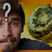 Macro Photographer Reacts To Everyday Objects In Macro