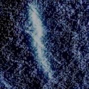 Trapcode Form Test