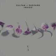 Sultan Shepard Indigo