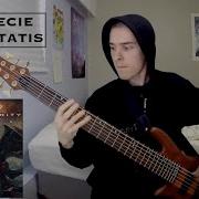 Hideous Divinity Sub Specie Aeternitatis Bass Cover