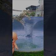 Aquarium Vortex Vs Lots Of Things Whirlpool Vortex