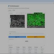 Automated Particle Analysis In SEM ParticleAnalyzer Guide