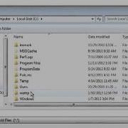 Testing Your Wamp Server