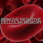 Remove Negative Cellular Memory Energetically Programmed Audio Maitreya Reiki
