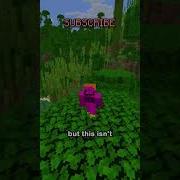 How To Hide From The Locator Bar