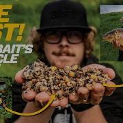 LIVE TEST Nashbait S NEW Particle Range