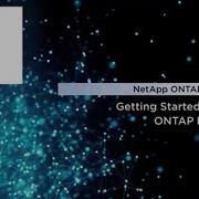 Getting Started With The ONTAP REST API