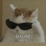 Serdar Ortaç Otilia Balım Speed Up