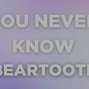 Beartooth You Never Know Lyrics