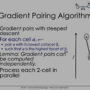 E0 207 Computational Topology MS Complex Parallel Algorithm